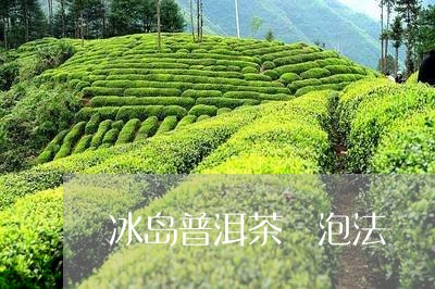 冰岛普洱茶 泡法/2023041235259